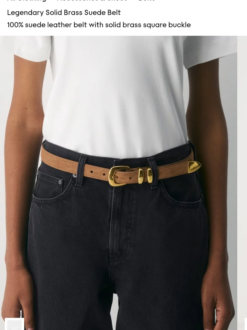Aritzia Solid Brass Buckle Suede Belt - Tan